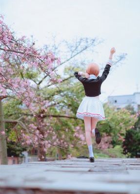高岭之花日剧免费观看_粤语中字在线观看